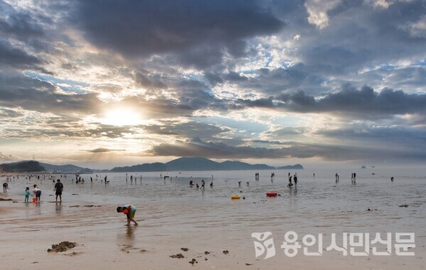 안산에 위치한 방아머리해변을 찾은 시민들이 해수욕과 조개잡이를 즐기고 있다.