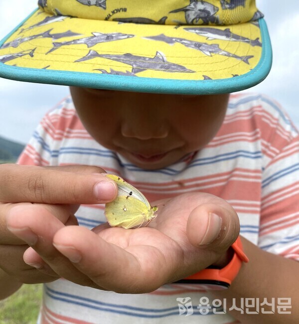 배추흰나비를 잡아 관찰하고 있는 아이