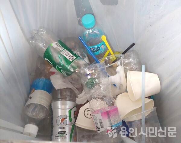 용인시 한 시내 쓰레기 통에 버려진 플라스틱컵에는 일회용 빨대가 꼽혀 있다.