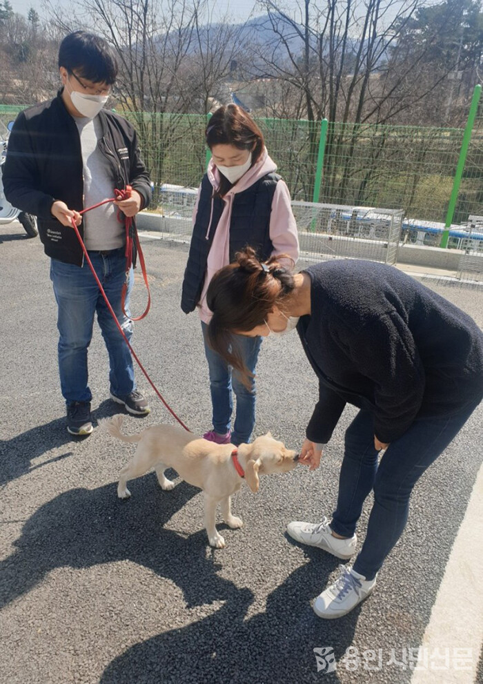 입양 전 반려동물 사회화 교육 모습  /자료사진